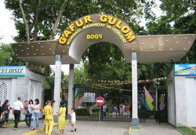 Dream Park