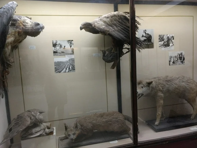 费尔干纳博物馆