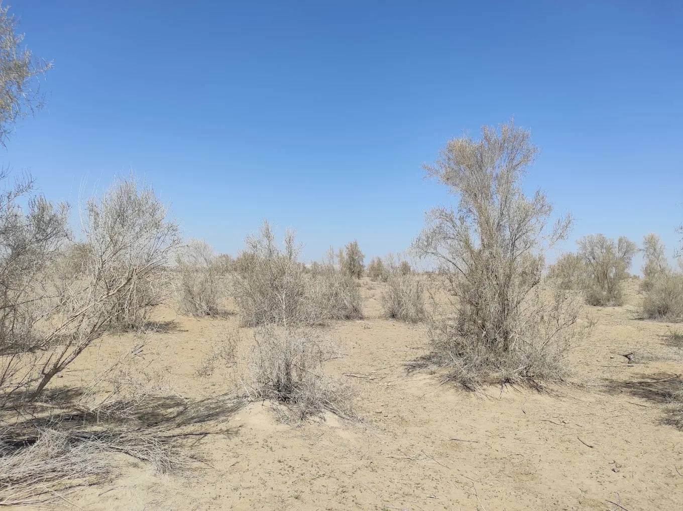 生态中心"杰兰"