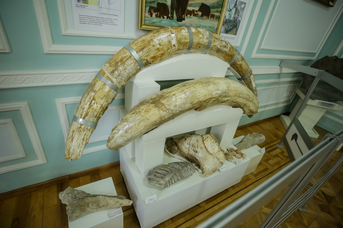 Geological Museum of Uzbekistan
