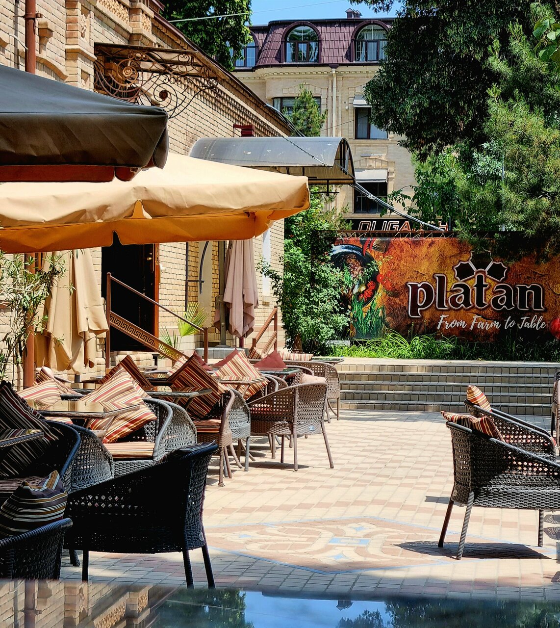 Platan