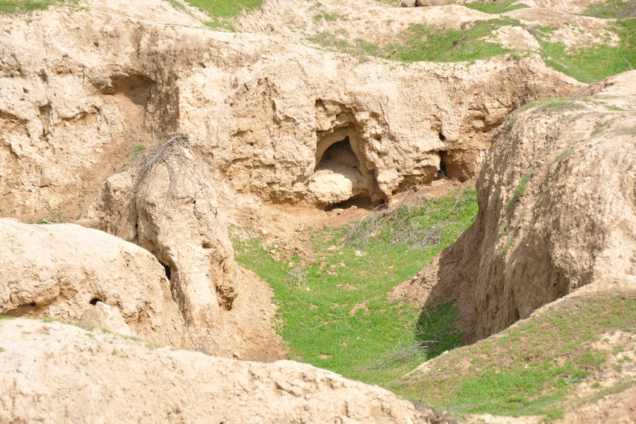 The ancient settlement of Afrasiab