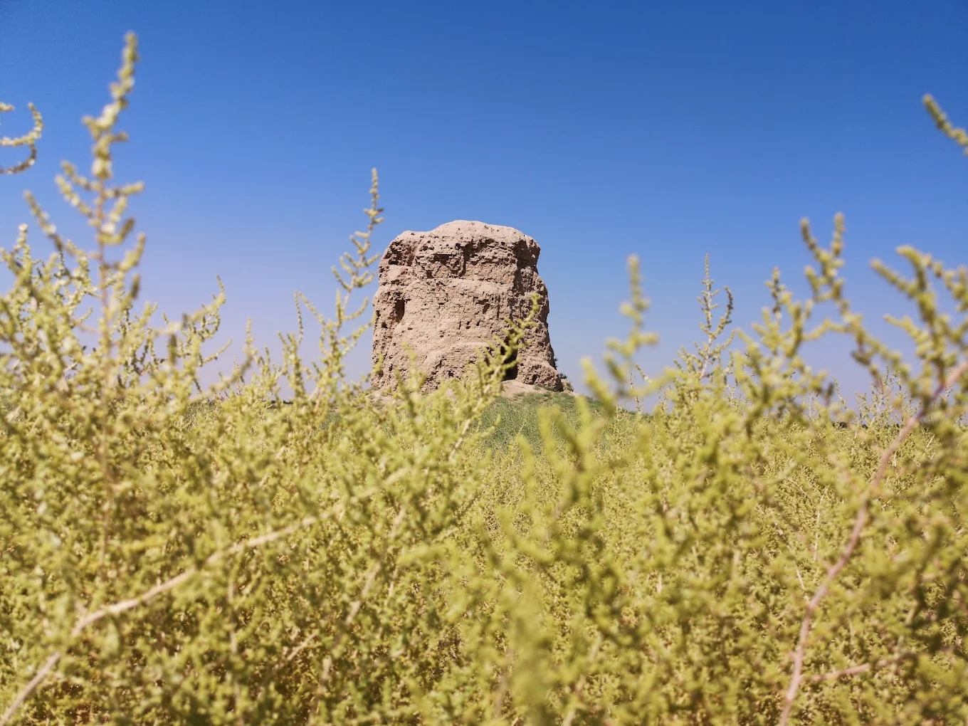 Buddhist Stupa of Zurmala