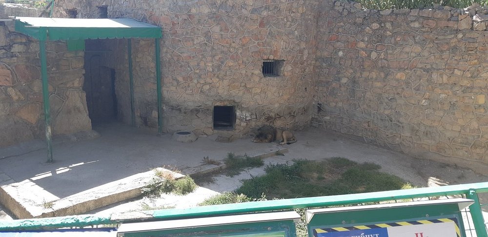 Tashkent Zoo