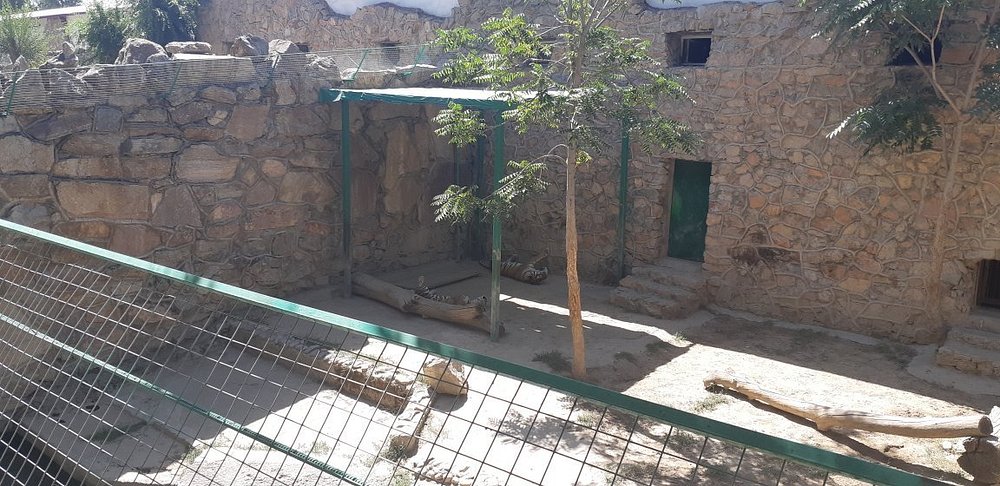 Tashkent Zoo