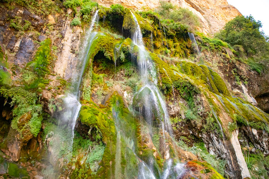 Sangardak sharsharasi