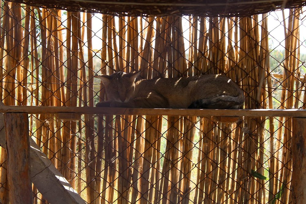 Jeyran Ecocenter