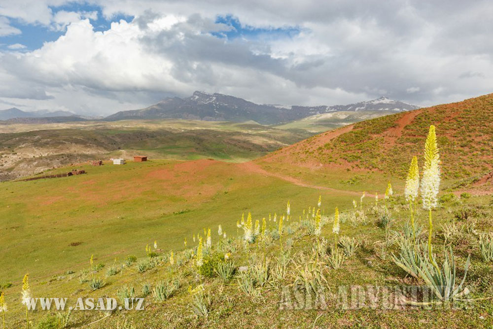 阿米尔帖木儿的洞穴