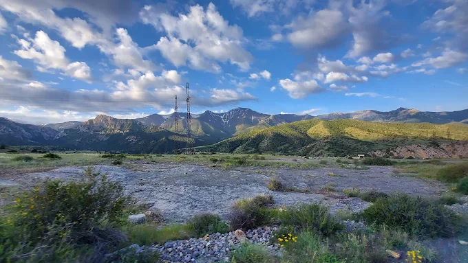 Zaamin State Nature Reserve