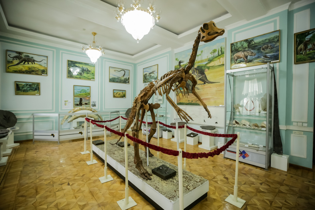 Geological Museum of Uzbekistan
