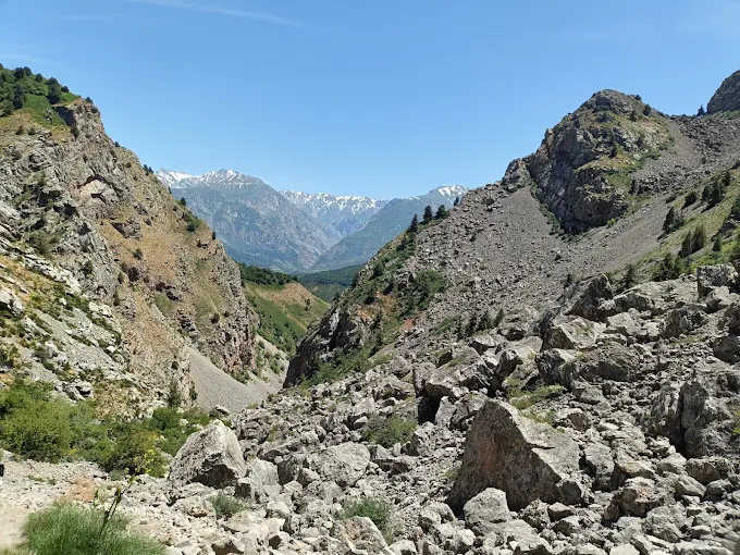 Ugam-Chotqol davlat milliy tabiat bog'i